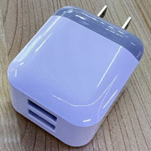 dual usb charger 2A
